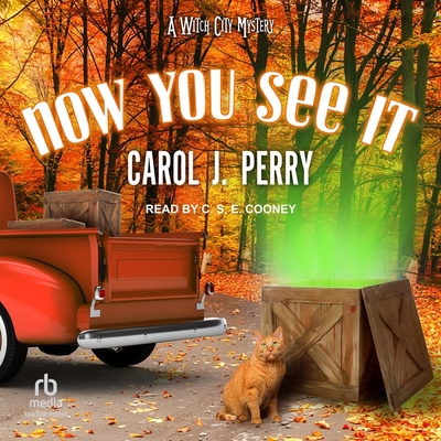 Now You See It B0CW5C89M2 Book Cover