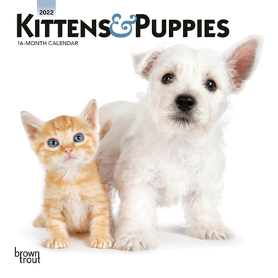 Kittens & Puppies 2022 Mini 1975429788 Book Cover