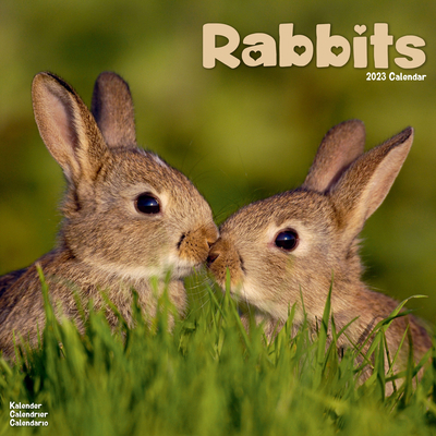 2023 Rabbits Wall Calendar 1839418176 Book Cover