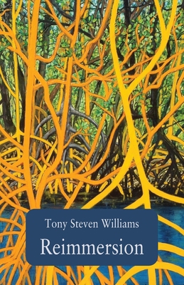 Reimmersion 1761094890 Book Cover
