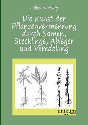 Die Kunst Der Pflanzenvermehrung Durch Samen, S... [German] 3845741678 Book Cover