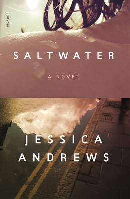 Saltwater 1250785642 Book Cover