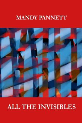 All the Invisibles 0956810128 Book Cover