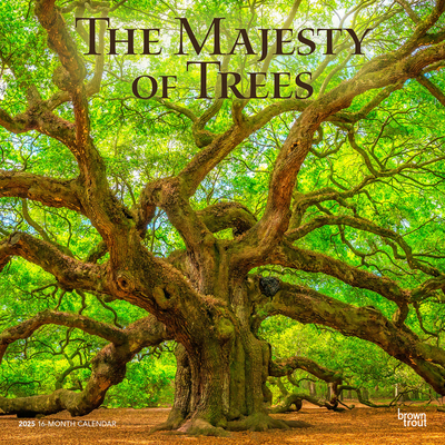 The Majesty of Trees 2025 12 X 24 Inch Monthly ... 1975477391 Book Cover