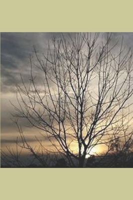 Working 2020 Like A BOSS 1704835801 Book Cover