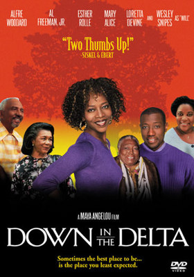 Down In The Delta 6305428336 Book Cover