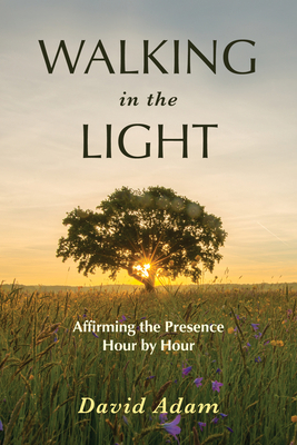 Walking in the Light: Affirming the Presence Ho... 1506459692 Book Cover