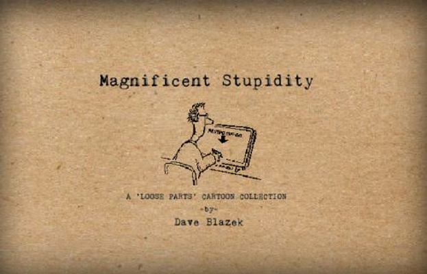 Magnificent Stupidity 0578328127 Book Cover