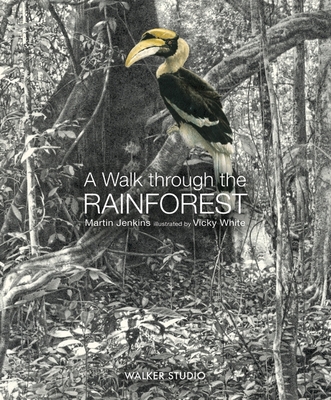 A Walk Through the Rainforest (Walker Studio) 1406331554 Book Cover