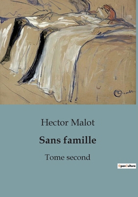 Sans famille: Tome second [French] B0CMGJV2DY Book Cover