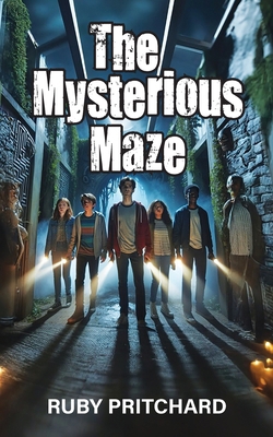 The Mysterious Maze 0645370967 Book Cover
