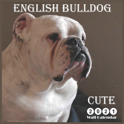 Paperback cute english bulldog: 2021 Wall & Office Calendar, 12 Month Calendar Book