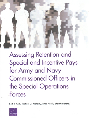 Assessing Retention and Special and Incentive P... 0833098802 Book Cover