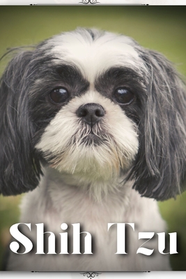 Shih Tzu: Dog breed overview and guide B0C7F56XM7 Book Cover