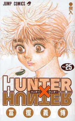 Hunter X Hunter 25 [Japanese] 4088745353 Book Cover