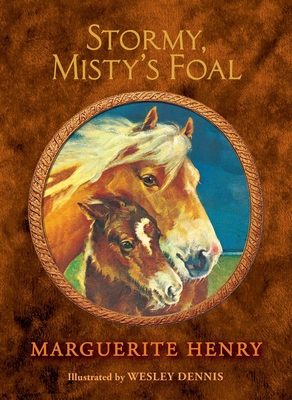 Stormy, Misty's Foal 1481425617 Book Cover