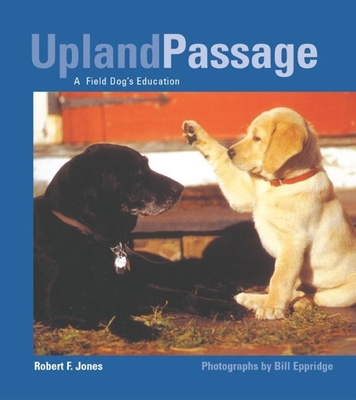 Blue Upright: The Flies of a Lifetime 1592282423 Book Cover