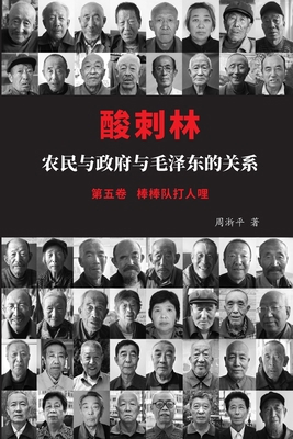 酸刺林：农民... [Chinese] B0CV4NVM8D Book Cover