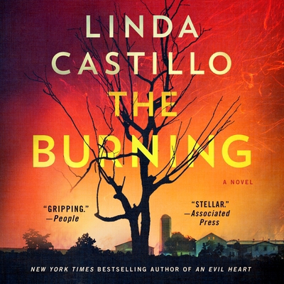 The Burning 125034509X Book Cover