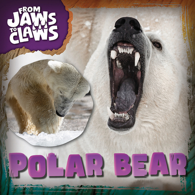 Polar Bear 1482475960 Book Cover