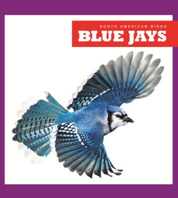 Blue Jays B0GN65HC6W Book Cover