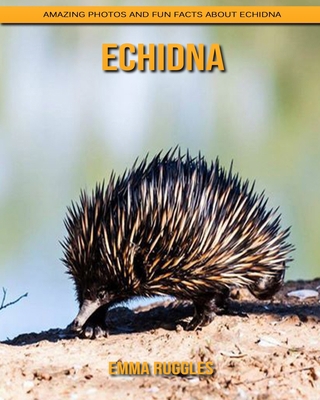Echidna: Amazing Photos and Fun Facts about Echidna