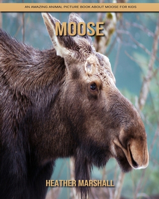 Paperback Moose: An Amazing Animal Picture Book about Moose for Kids [Large Print] Book