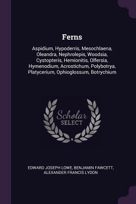 Ferns: Aspidium, Hypoderris, Mesochlaena, Olean... 1377584232 Book Cover