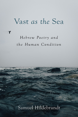 Vast as the Sea: Hebrew Poetry and the Human Co... 1506485499 Book Cover