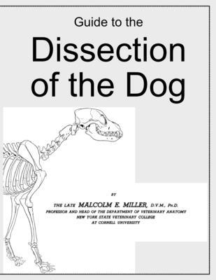 Guide to the Dissection of the Dog B08PRYMWGS Book Cover