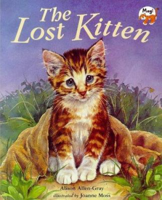 The Lost Kitten 1854304739 Book Cover