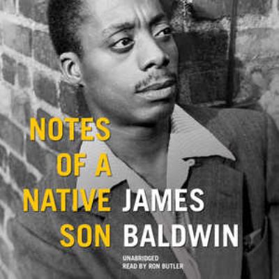Notes of a Native Son 1481528459 Book Cover