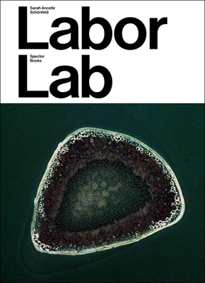 Sarah Ancelle Schönfeld: Labor Lab 3959059728 Book Cover