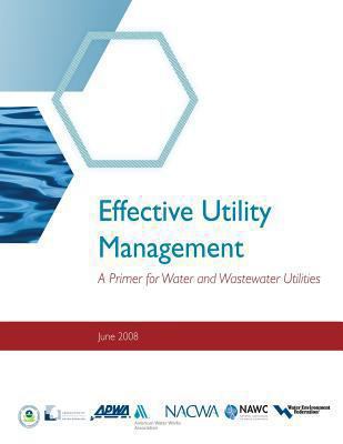 Effective Utility Management: A Primer for Wate... 1475060688 Book Cover
