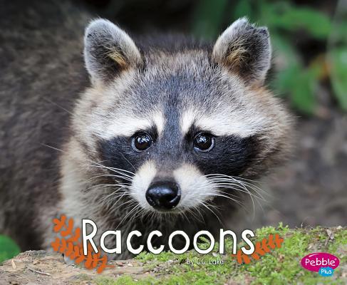 Raccoons 1515708179 Book Cover