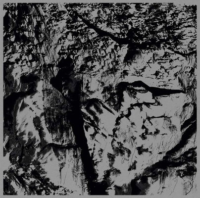 Michel Comte: Light 3958291198 Book Cover