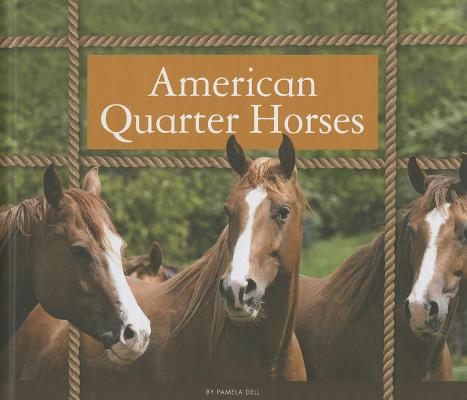 American Quarter Horses 1626870012 Book Cover