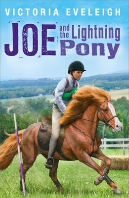 Joe and the Lightning Pony: A Boy and His Horses 1444005928 Book Cover