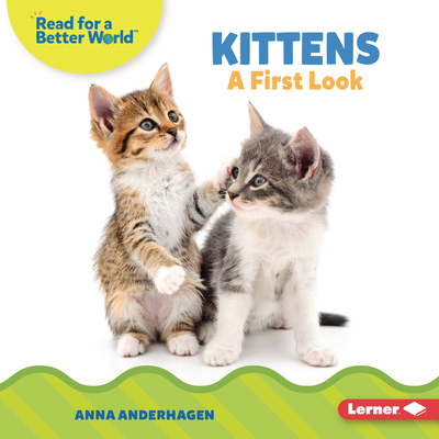 Kittens: A First Look B0CPM34C19 Book Cover