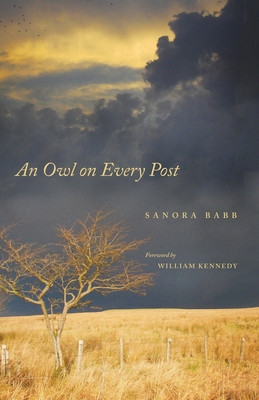 An Owl on Every Post 098599150X Book Cover