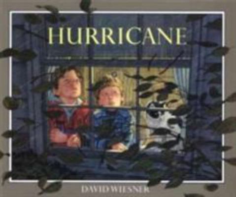 Hurricane 0395543827 Book Cover