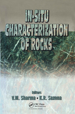 In-situ Characterization of Rocks 9058092372 Book Cover