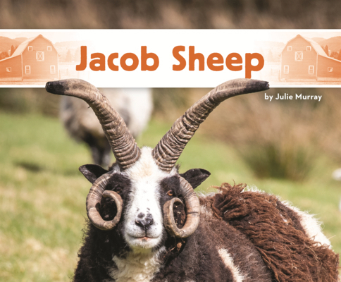 Jacob Sheep B0GN6TXWSV Book Cover