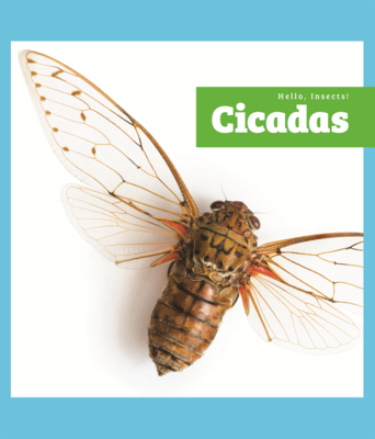 Cicadas B0GN5P2B86 Book Cover