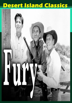 Fury            Book Cover