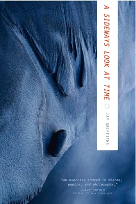 A Sideways Look at Time 1585423068 Book Cover