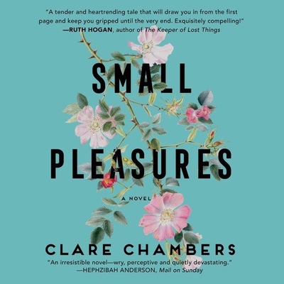 Small Pleasures Lib/E B095GHZPGK Book Cover