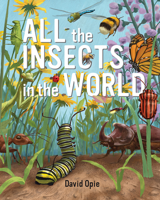 All the Insects in the World 1441335587 Book Cover