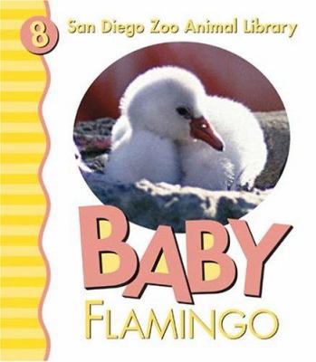 Baby Flamingo 0824965574 Book Cover