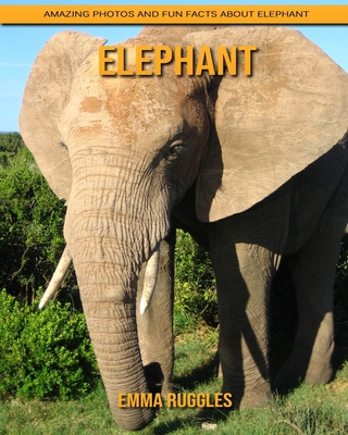 Paperback Elephant: Amazing Photos and Fun Facts about Elephant [Large Print] Book